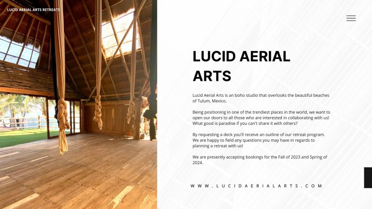 Copy of lucid aerial arts